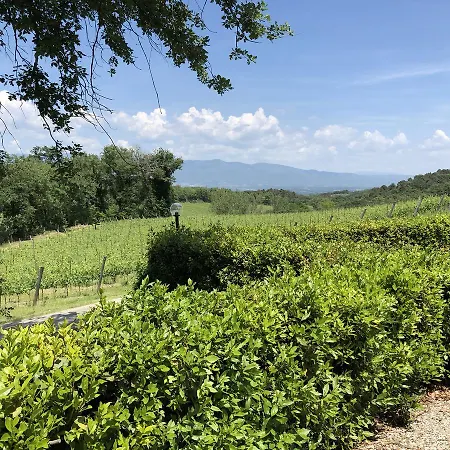 Vasarri Le Piaggiole Cavriglia